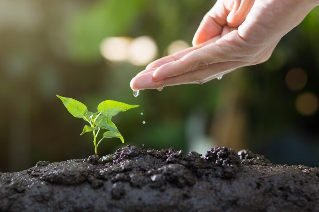 Soil Conditioner Benefits
