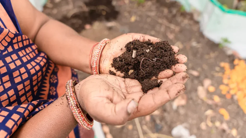 Understanding Potassium Humate Fertilizer for Better Plant Growth