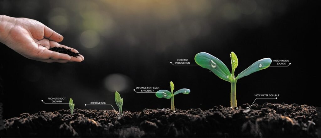 Which plants like humic acid