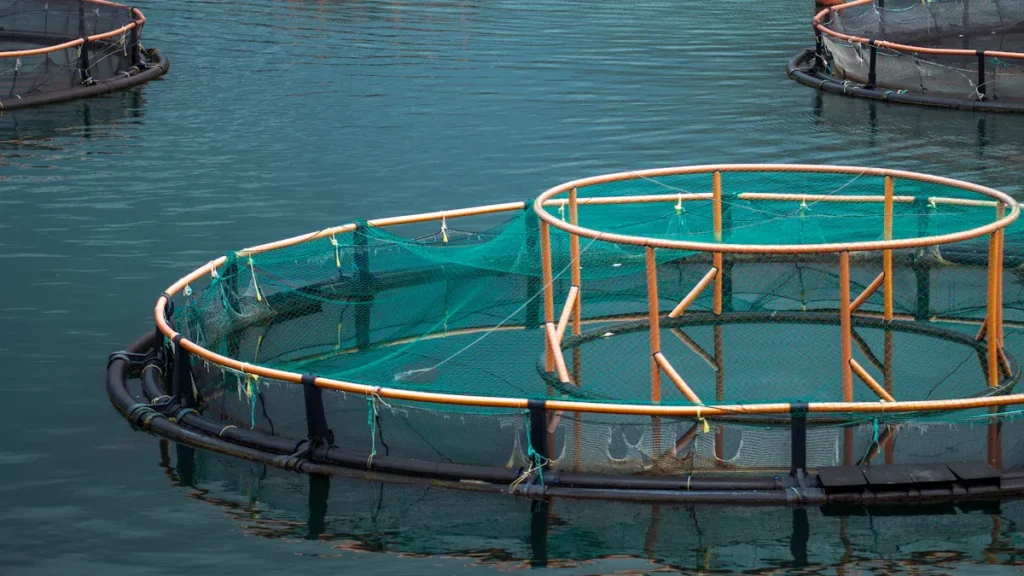 Hướng dẫn chi tiết dùng sodium humate cho cây trồng và thủy sản