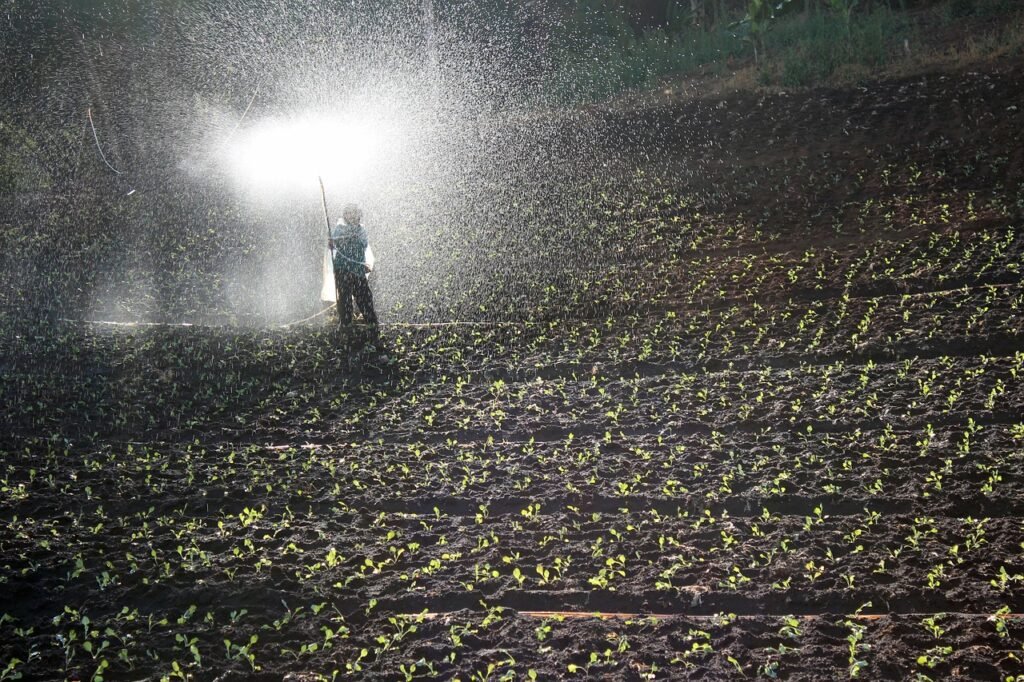 What Are Water Soluble Fertilizers