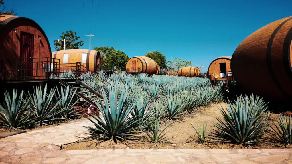 Native & Drought-Tolerant