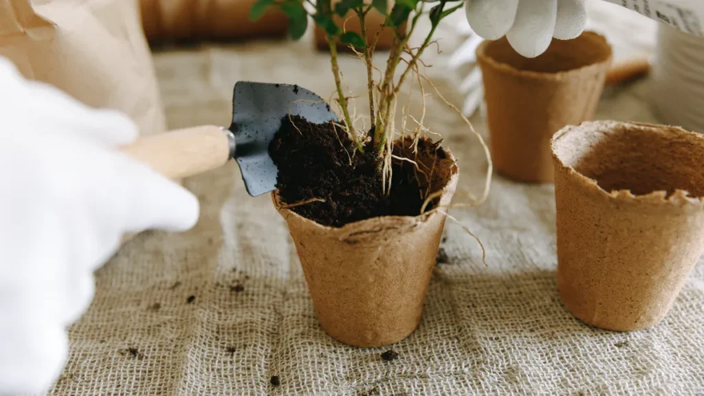 Plant Growth Benefits