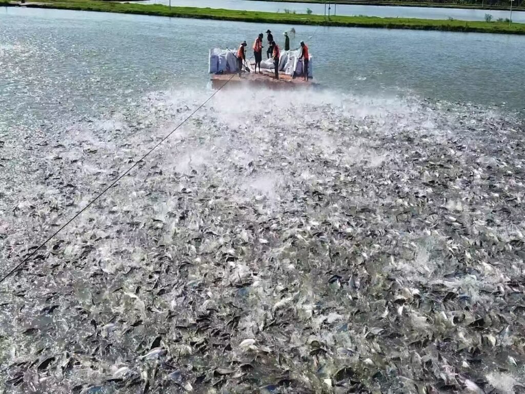 Sodium humate for aquaculture or other additives, which works best?