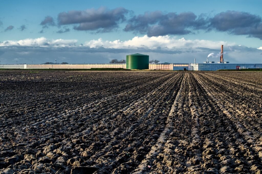 Beneficios en el suelo