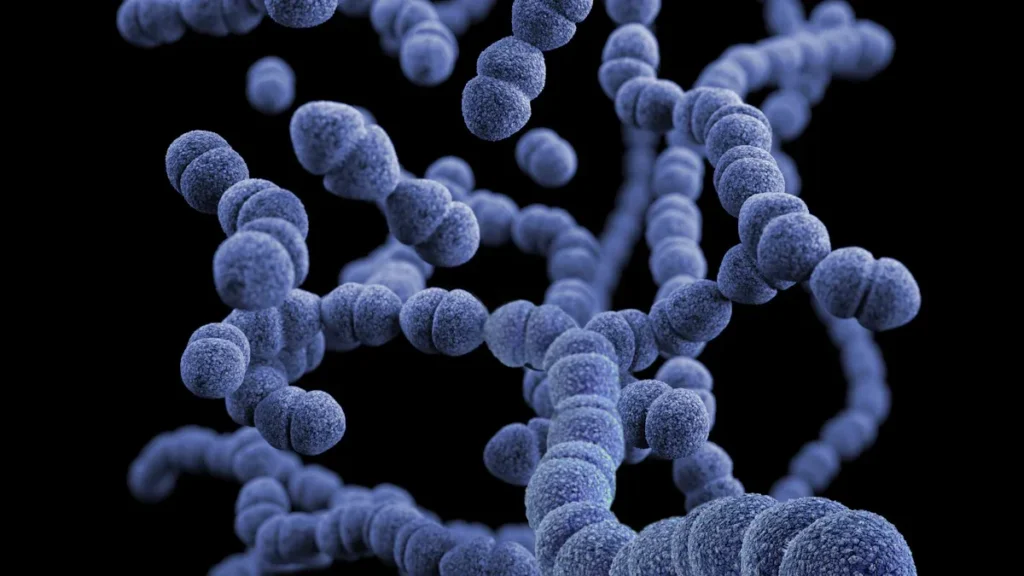 Gut Health