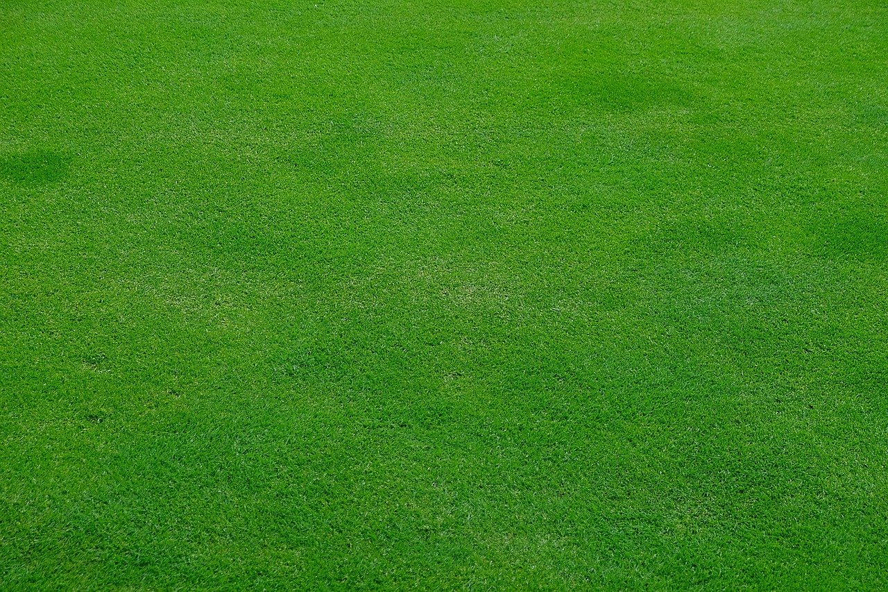 What humic acid does for lawns
