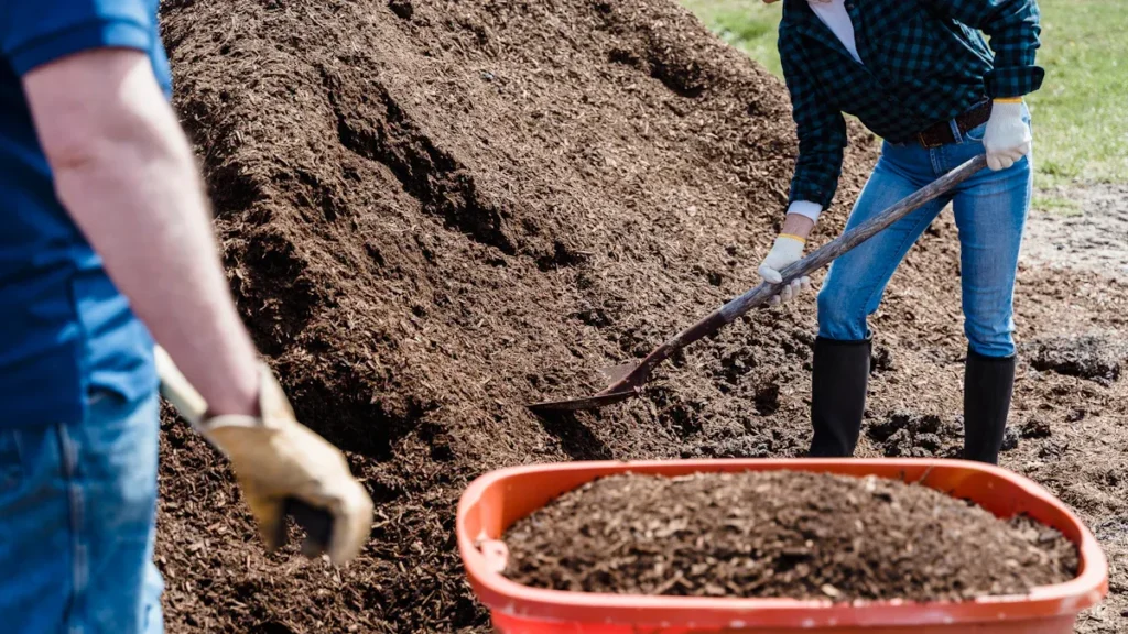 Humic acid in Australian agriculture
