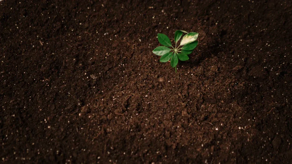 Soil Health Benefits