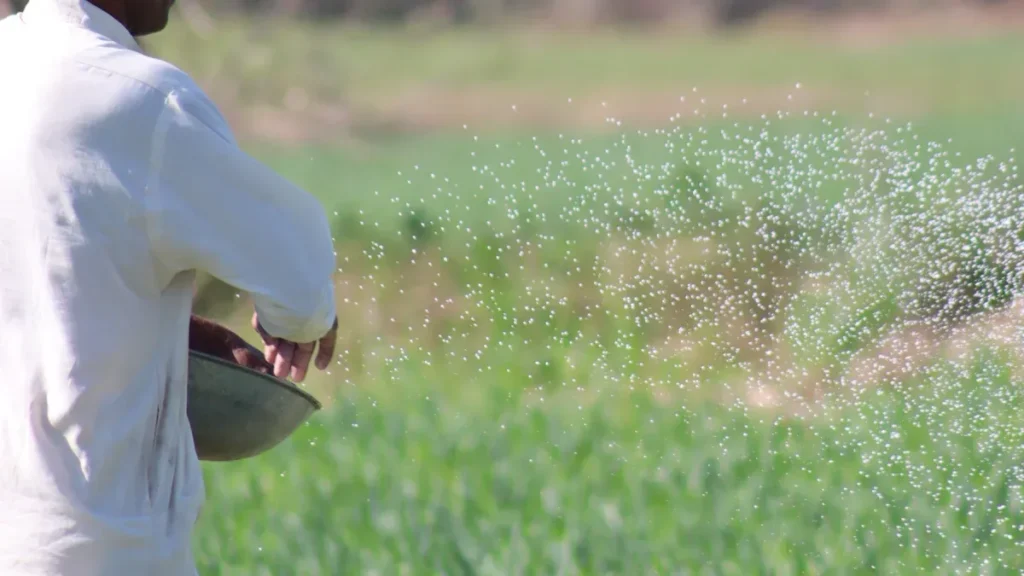 Formula Design and Mixing