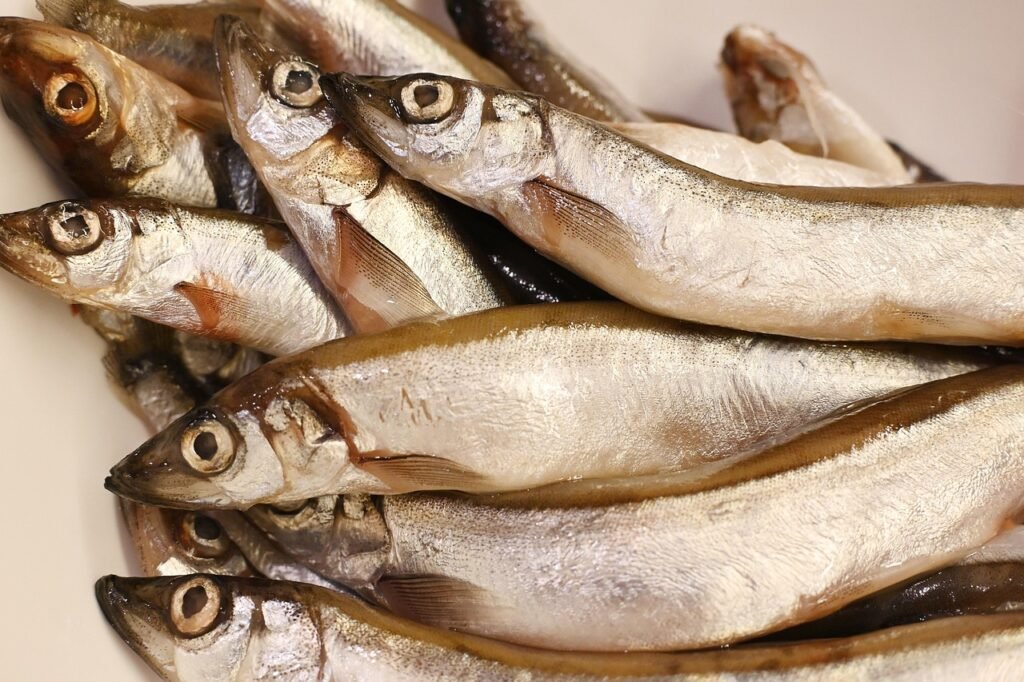 What is Fish Hydrolysate?