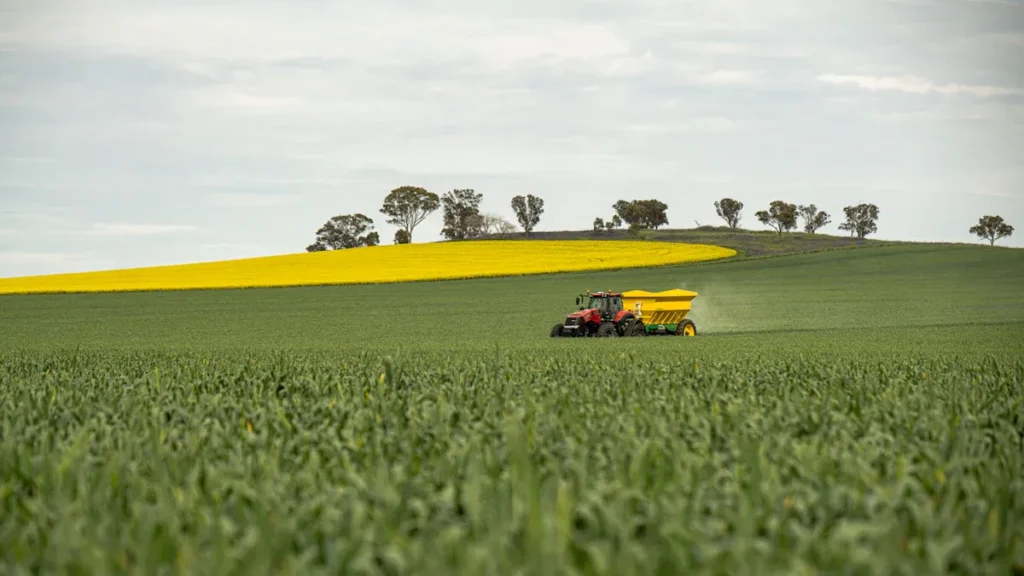 Potassium-Rich Fertilizers for Crop Production